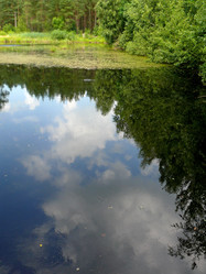 Similar image 1309251