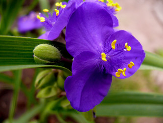 Similar image 1309252