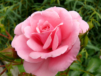 Similar image 1309253