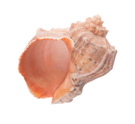 Similar image 1309274