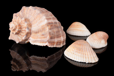 Similar image 1309281