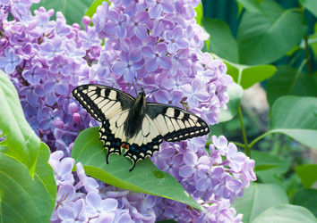 Similar image 1309284