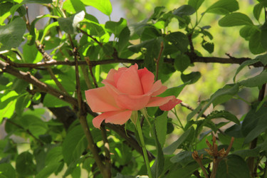 Similar image 1309289