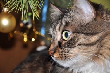 Similar image 1309353