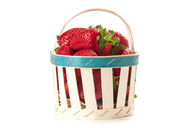 Similar image 1309355