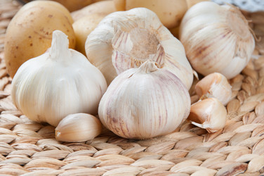 Similar image 1309365