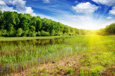 Similar image 1309419