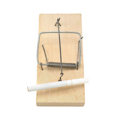 Similar image 1309423