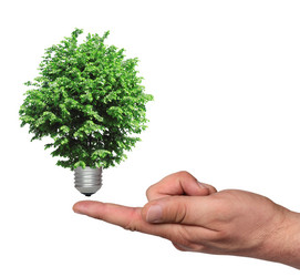 Similar image 1309589