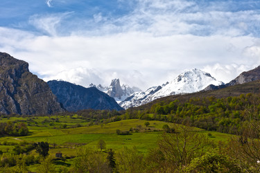 Similar image 1309591