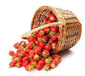 Similar image 1309599