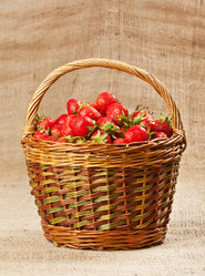 Similar image 1309602