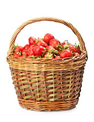 Similar image 1309603