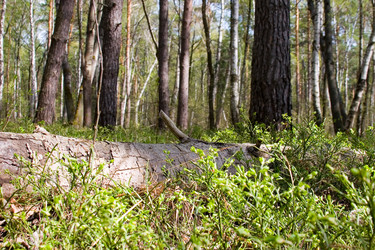 Similar image 1309761