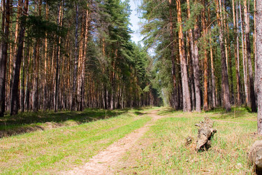 Similar image 1309762