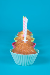 Similar image 1309769