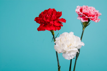 Similar image 1309775