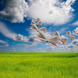 Similar image 1309786