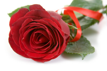 Similar image 1309788