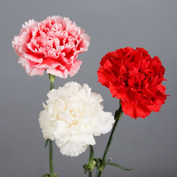 Similar image 1309789