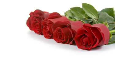 Similar image 1309799