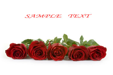 Similar image 1309801