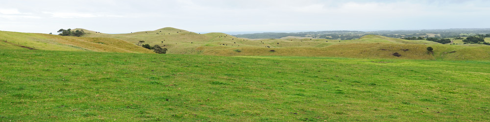 Similar image 1309806