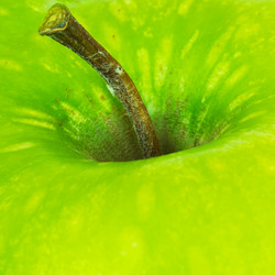 Similar image 1309808