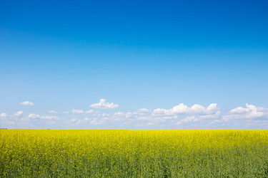 Similar image 1309812