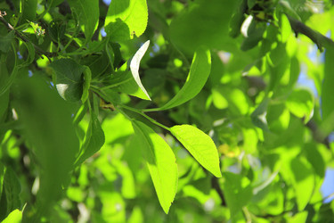 Similar image 1309887