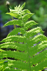 Similar image 1309896