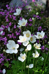 Similar image 1309897