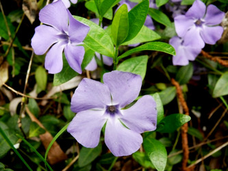 Similar image 1309899