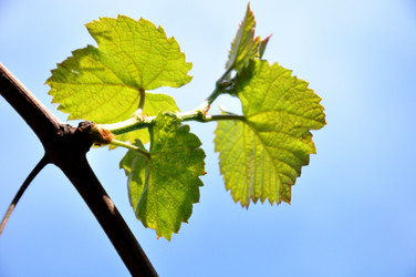 Similar image 1309903