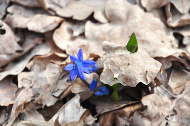 Similar image 1309904