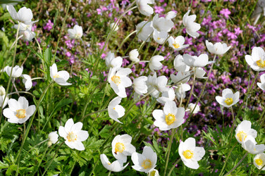 Similar image 1309905