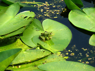 Similar image 1309906