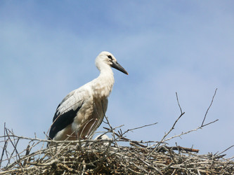 Similar image 1309907