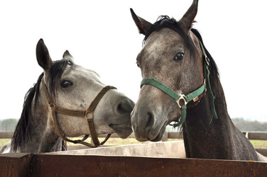 Similar image 1309908