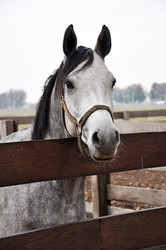 Similar image 1309909