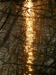 Similar image 1309910