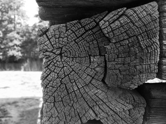 Similar image 1309911