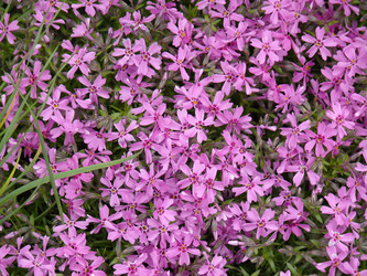 Similar image 1309913