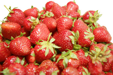 Similar image 1309918