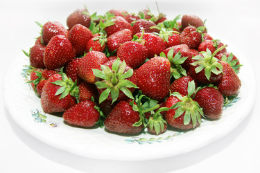 Similar image 1309919