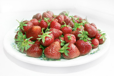 Similar image 1309923