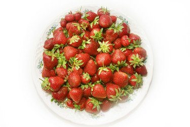 Similar image 1309924