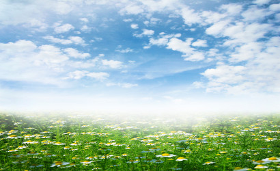 Similar image 1309927