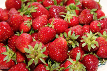 Similar image 1309930