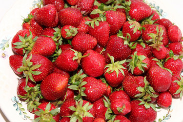 Similar image 1309931